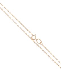 Delicate gold chain necklace with a round spring ring clasp on a white background.