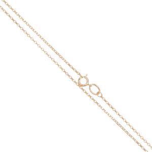 Delicate gold chain necklace with a round spring ring clasp on a white background.